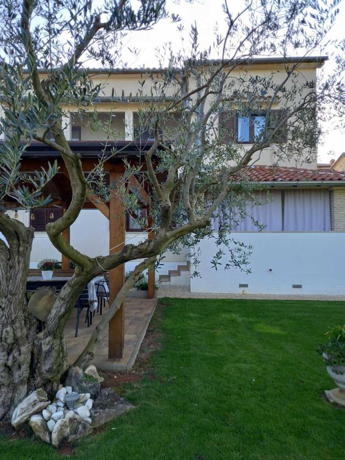 Apartment Mare Porec